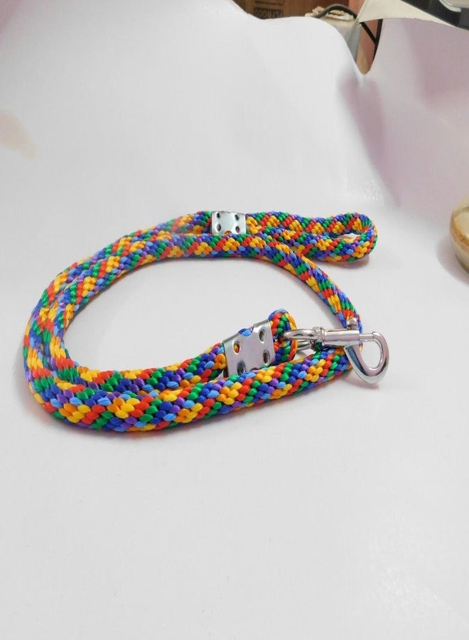 Skora Thick Nylon Rope Leash for Large Dogs (Multicolor) - Image 2